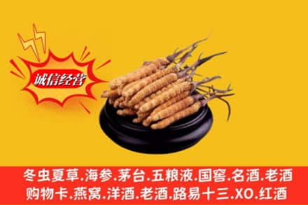 威宁县求购回收虫草多少钱每克